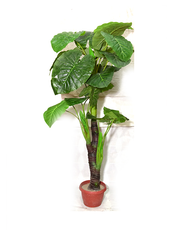 Broady Shrub Planter