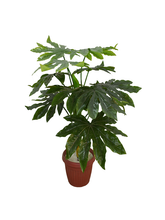 Green Range Plant Pot