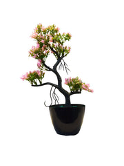 Edolie Table Planter