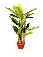 Brittiny Planter