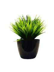 Anara Tree Planter
