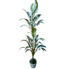 Floor Planter HS 3