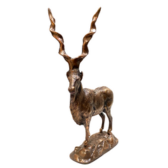 Longhorn Decor