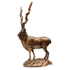 Longhorn Decor