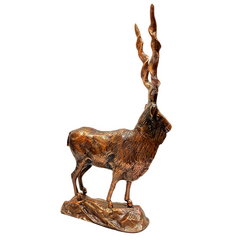 Longhorn Decor