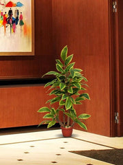 Medium Planter 12