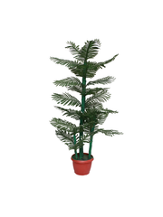 Plastic pot Spruce tree planter