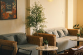 Café rattan 3 seater sofa with gingham cushions in a sunny lounge