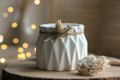 Modern Geometric Flower Pot (PC)
