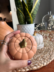 Colorful Pumpkin Jar with Lid (PC)