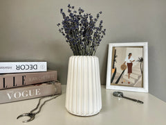 Strip Vase (PC)