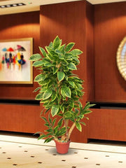 Large Planter 7
