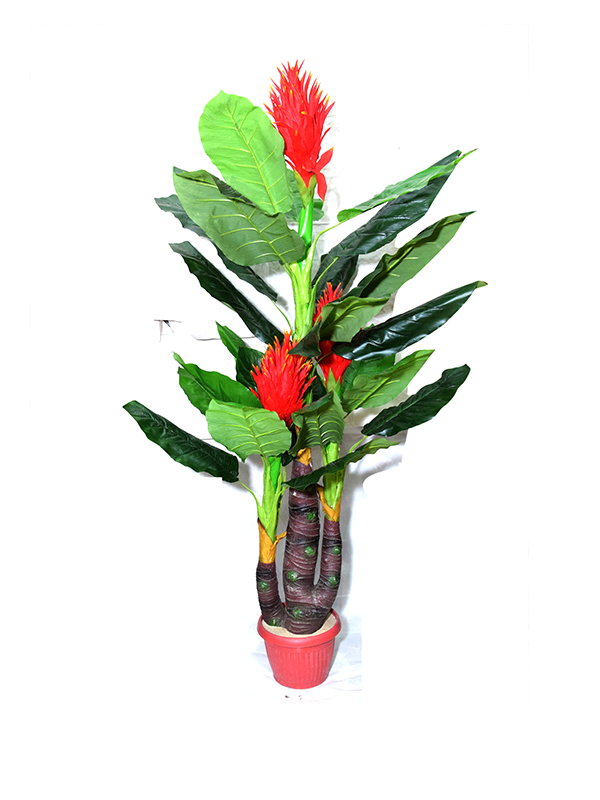 Rozmena Planter