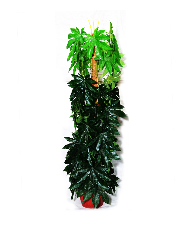 Aubrey Planter