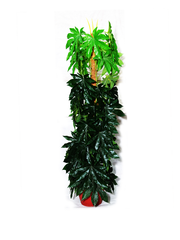 Aubrey Planter