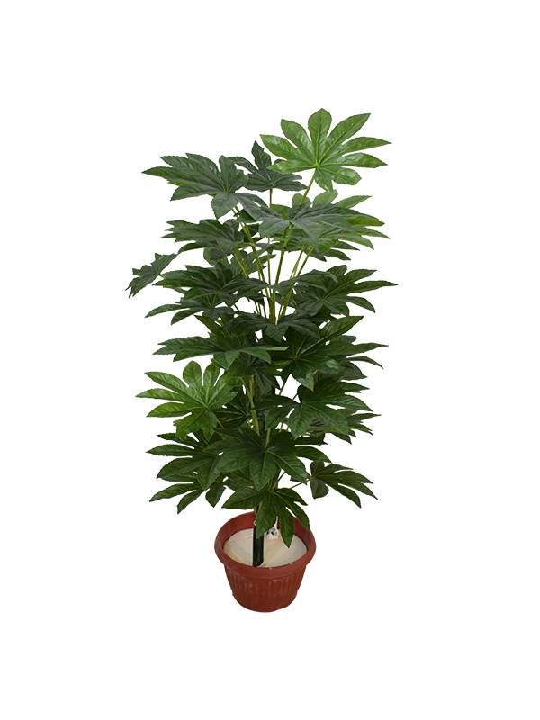Daecola Plant Pot