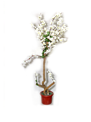 Eilana Misty Planter