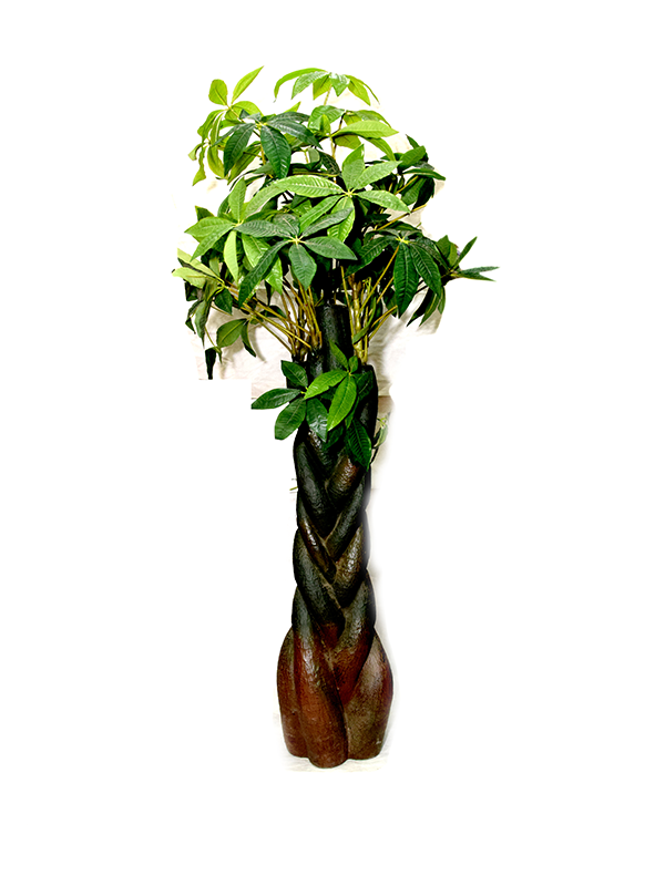 Aleana Planter