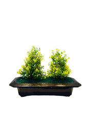 Rosann Tree Planter