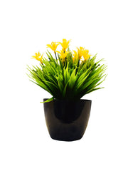 Blaine Planter