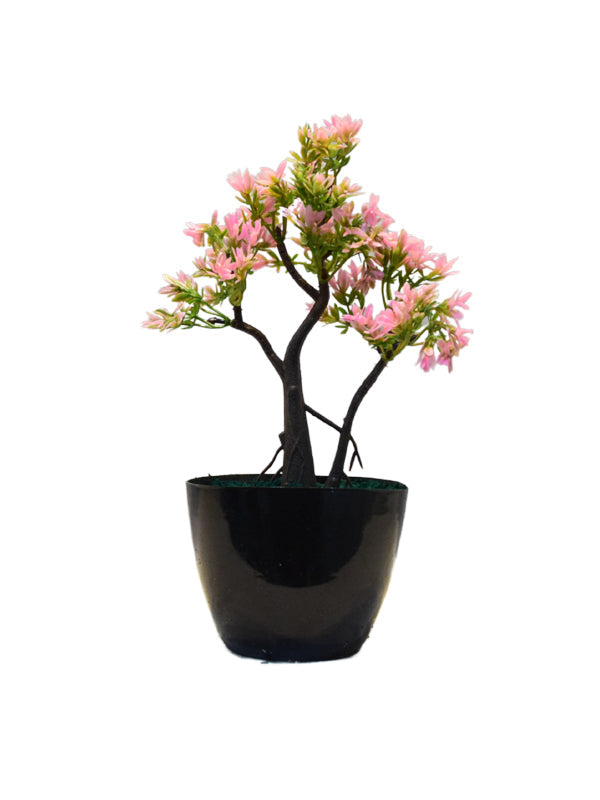 Eva Tree Planter