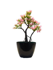 Eva Tree Planter