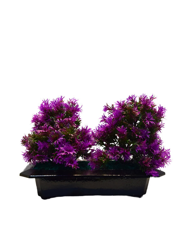 Aliana tree planter