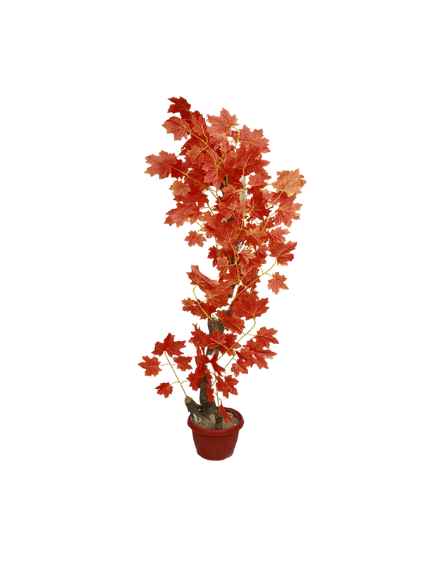 Alishia Planter-RED