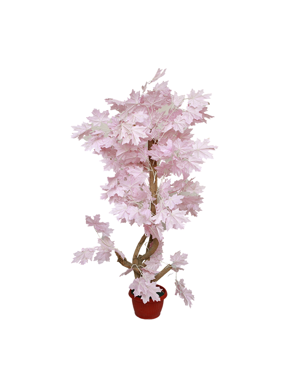 Alishia Planter-Tea pink