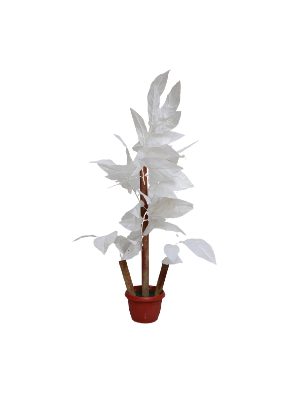 Elisa Floor Planters