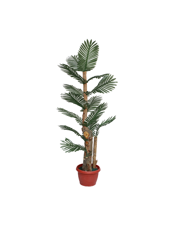 Amelie Cedar floor planter
