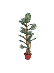 Amelie Cedar floor planter