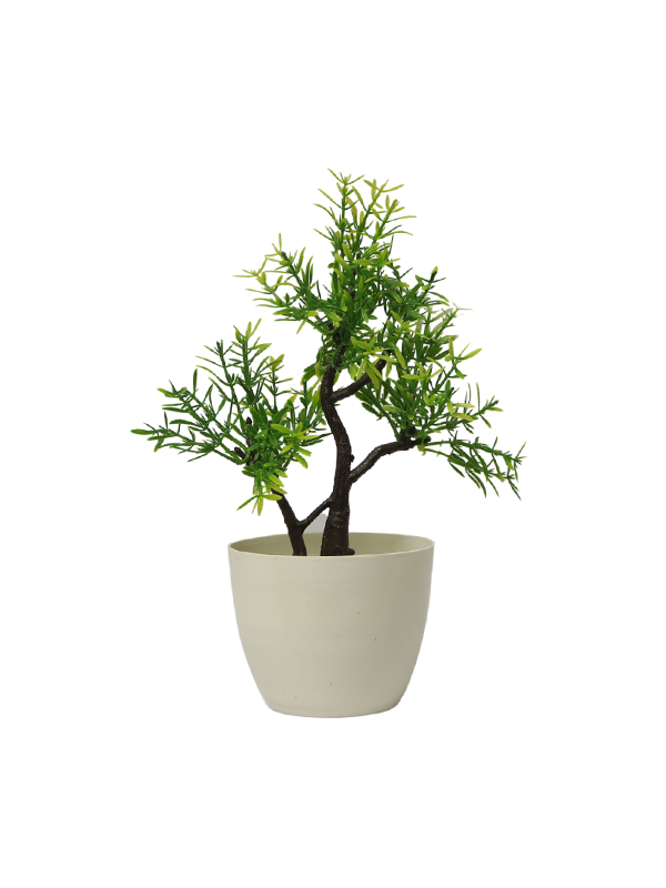 Juniper tree planter