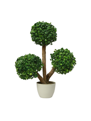 Three boxwood tree Planter