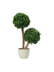 Dual boxwood tree planter