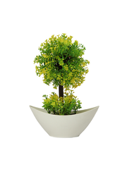 Lime foliage boat pot planter