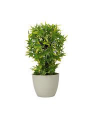 White pot mini tree planter