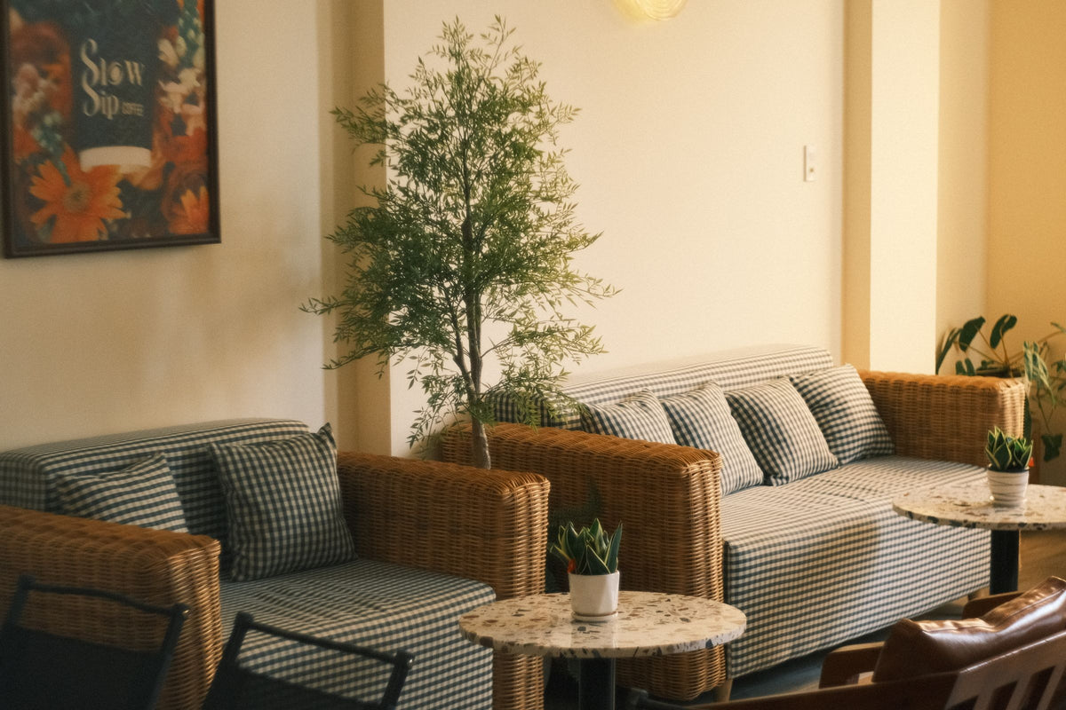 Café rattan 3 seater sofa with gingham cushions in a sunny lounge