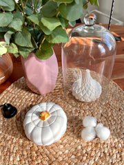 Colorful Pumpkin Jar with Lid (PC)