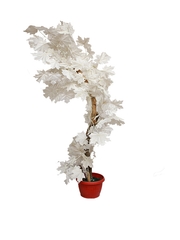 Alishia Planter-White